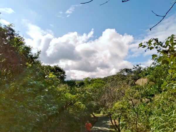 海興登山步道758251