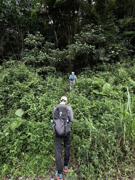 埔里登蜈蚣崙山、板仔寮山 2025.6.182815478