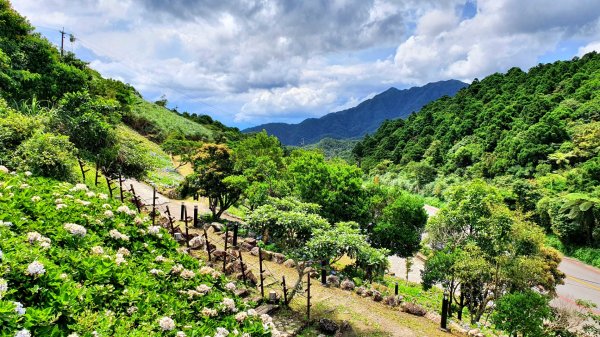 鵲子山，廻音谷瀑布，猴洞坑瀑布，望龍埤步道，飛龍步道，石牌縣界公園1744635