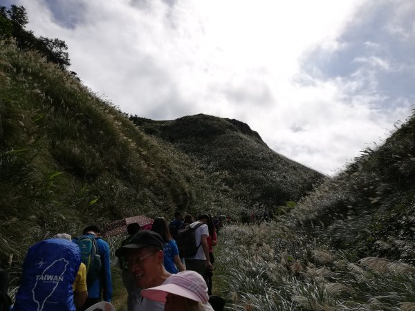 ~  古道秋芒 - 草嶺古道  ~741005