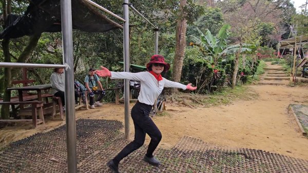 圓通寺烘爐地登山步道大O走3007015