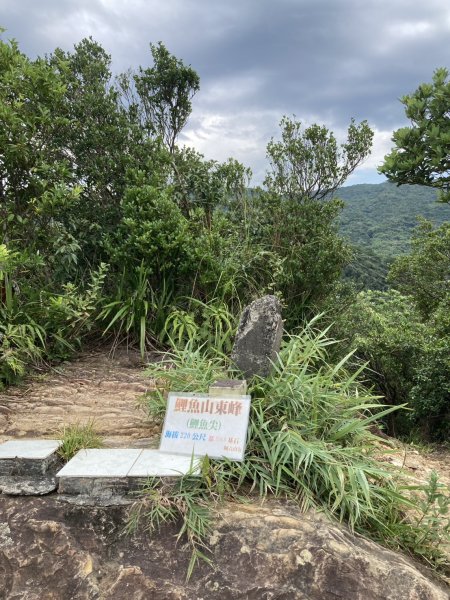 大湖公園→大溝溪生態治水園區→圓覺寺步道→圓覺瀑布→圓覺寺→鯉魚山步道【臺北大縱走 4、臺北健走趣】2849047