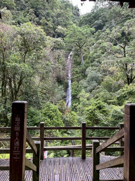 新竹 五峰 觀霧國家森林遊樂區 觀霧瀑布步道+賞鳥步道2811430