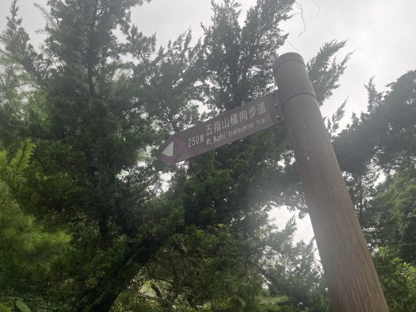 [皮皮獅Hike客任務-03/10] 2024_0720 五指山橫向登山步道2557154