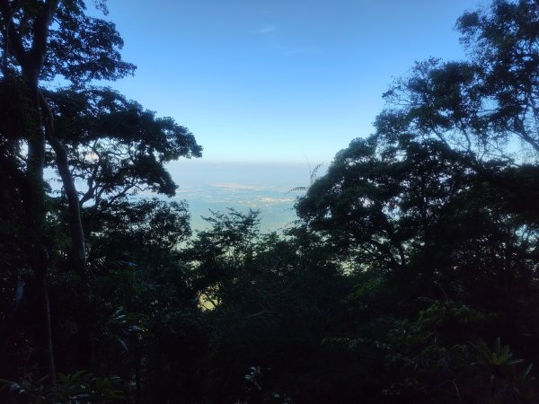 關仔嶺大凍山(夏季不要早上6點來、您會愛上這座山)2552200