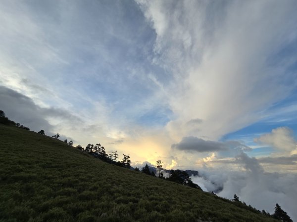 志佳陽大山（回程走高繞環山獵人登山步道）2542212