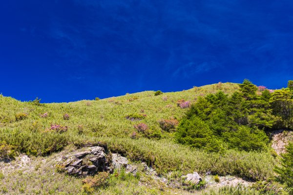 [花蓮]卡拉寶山3095260