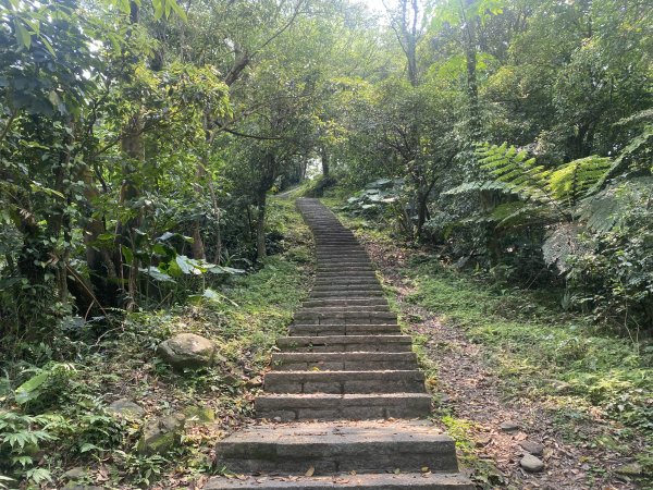 《城市與山的交界線｜大尖山連走四分尾山》O繞路線＋秀峰瀑布＋遇見養蜂人🐝3056642