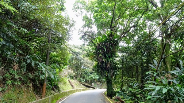 土白公路版1662773