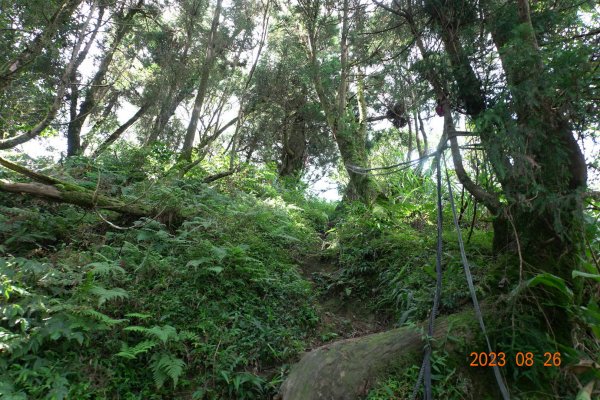 基隆 頂寮山、龍門山、五分山、頂子寮山2265942