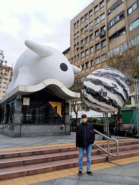 大港墘公園、忠孝東路四段賞花燈【齊心鞋力向前走】2033407