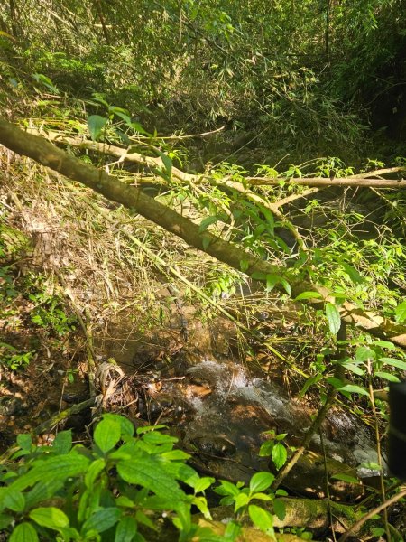 20250105隆盛山-煤渣山-雙溪口山主東峰-排寮尖-十八重溪山2683205