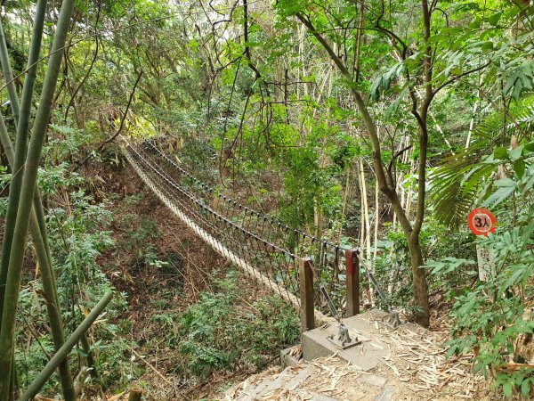 桃源里森林步道封面