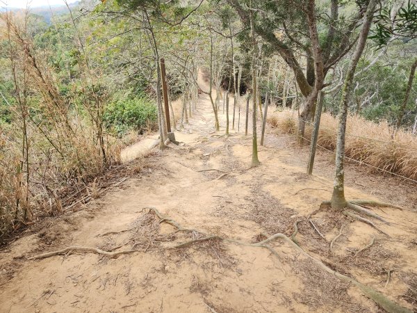 20260125口山步道2995132