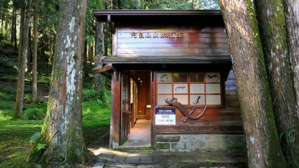 阿里山森遊區-祝山,對高岳步道2536971