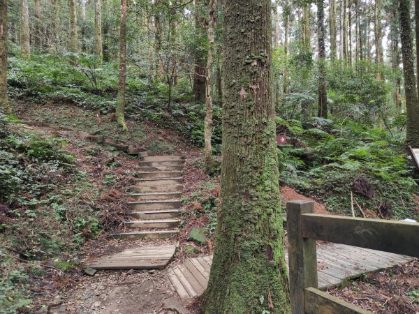 2023.12.27 東眼山2838858