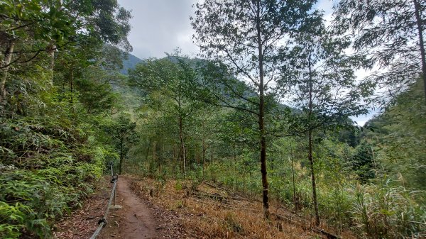 水社大山水社主峰新年二部曲1598816