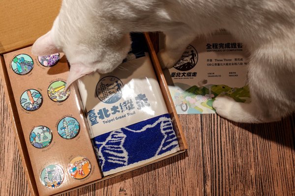 台北大縱走｜完成證書 x 徽章獎品 x 路線全攻略3092339