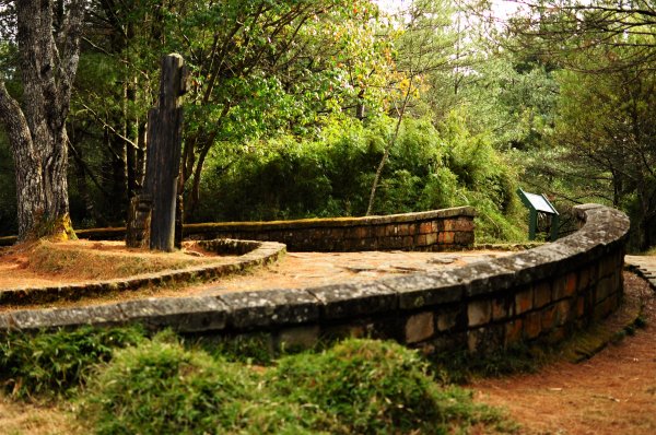 東埔山大草原步道838739