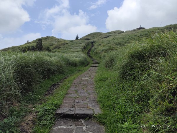 【臺北大縱走 2、3、4】冷水坑→七星山主東峰步道→冷擎步道→小油坑→鵝尾山→內湖許願步道2878899