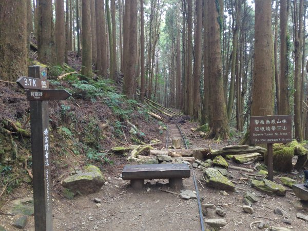 2026.02.14－特富野古道3013715