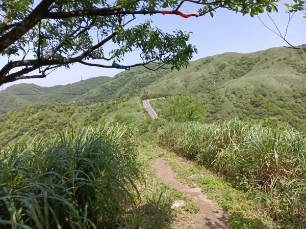 雙溪區不厭亭+牡丹山+樹梅坪+鷹石岩山神廟+不厭亭+奉憲示禁碑+三貂崙+不厭亭8字走2766319