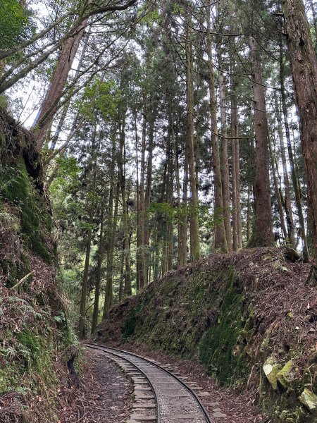 漫步特富野古道2371488