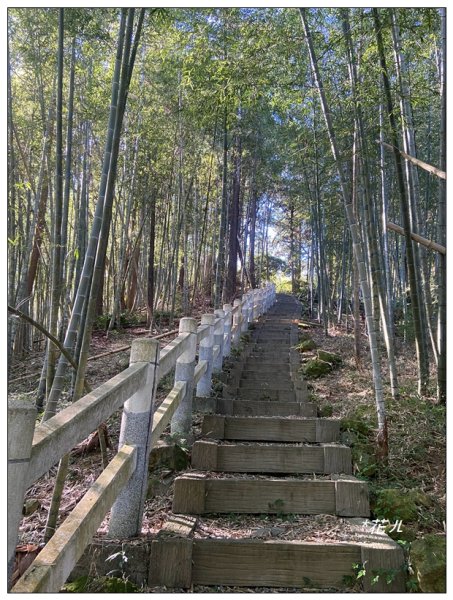 鳳凰谷步道(鹿谷鄉)2690446