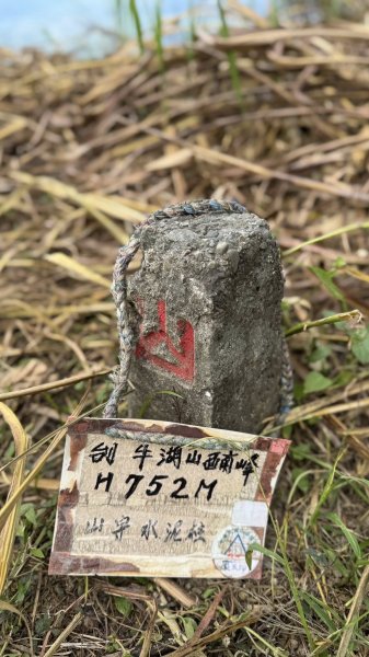 20251025 小百岳竹子尖山及刣牛湖山2925022