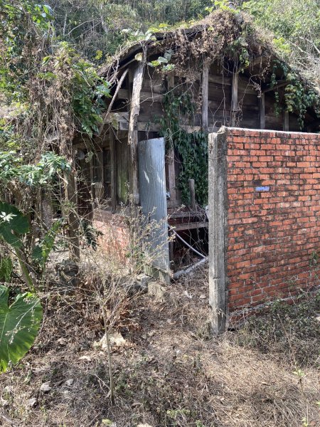 20260214三竹縱走;三腳南山+竹仔尖山3001698