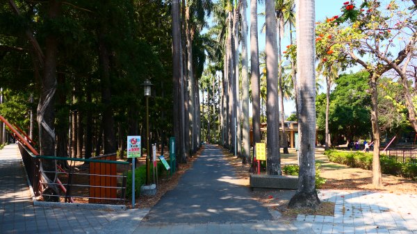 台南成大等3002046