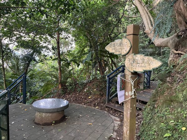 [微笑山線_第六段] 2025_0807 二格山系_和美山螢火蟲段2854612