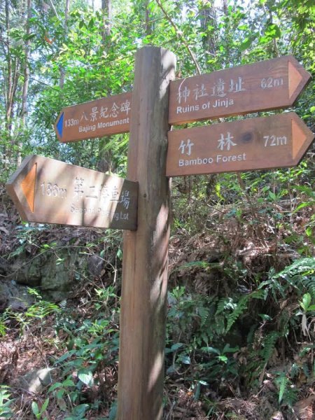 1010325八仙山森林遊樂區3098067
