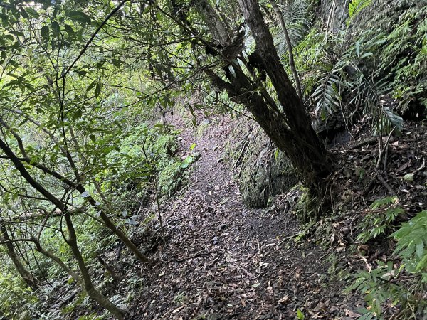 [淡蘭古道] 2025_0802 南路第四段2850826