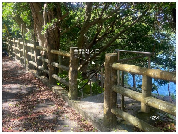 金龍湖、鷹石尖、老鷲尖、內溝山 O型一圈2966582