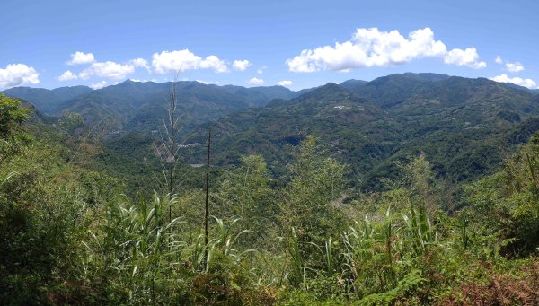 20250510福山古道隴頂步道健行:2791505