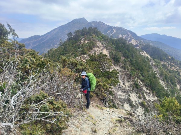 20240320 馬博8天縱走~第五天，馬里亞文路山，馬利加南山2471207