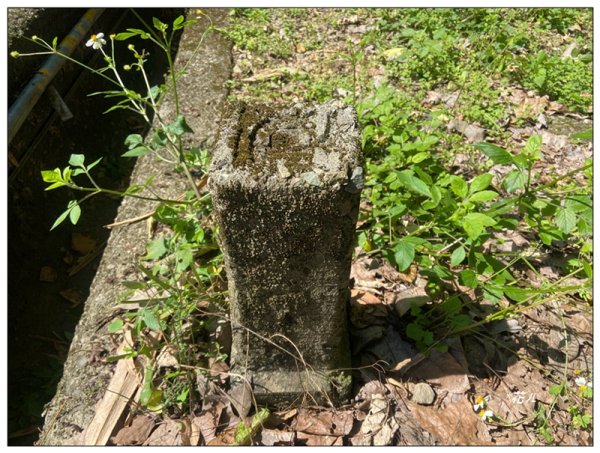 頭社水庫、大舌滿山2757552