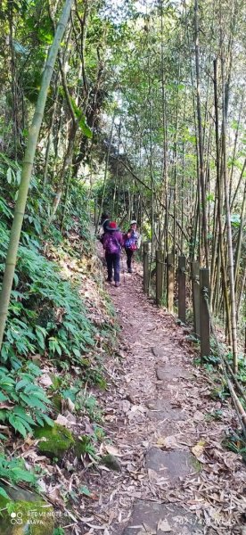 馬那邦山登山步道、雪霸國家公園1332519