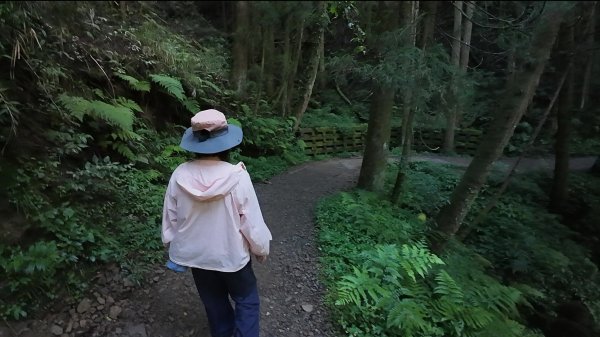 嘉義-特富野古道3120557