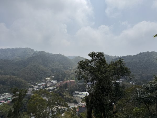 1150322雲嘉8連峰3023000