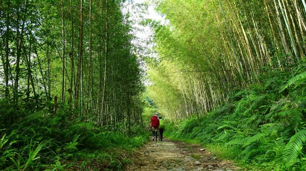 花蓮山海天際線，完登砂卡礑三雄146668