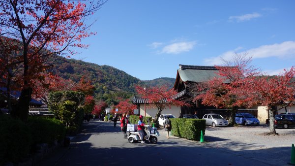 日本京都嵐山651870