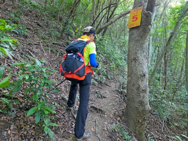 再登虎山  2018/5/26338769