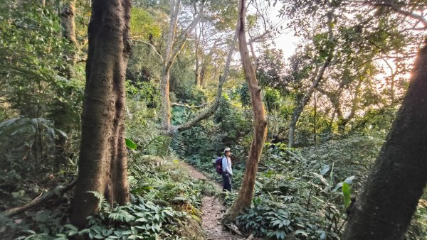 雙石大O繞縱走1150222 年初六3004529