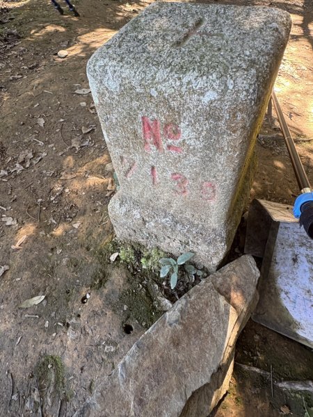 20251116鳴海山、網子山登山步道2938450