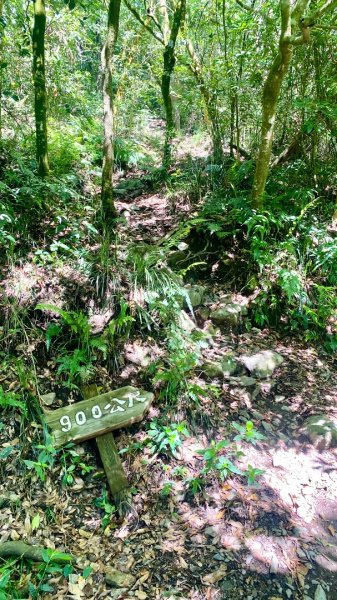 霧台-德文山2801898