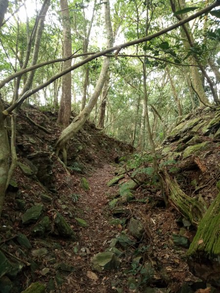 鳴海山1880277