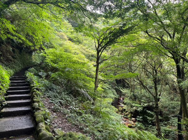 台北 陽明山 絹絲瀑布-擎天崗2722175