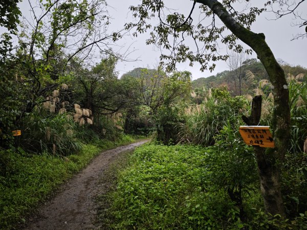 2026_0131 獅球嶺中央砲台2997617